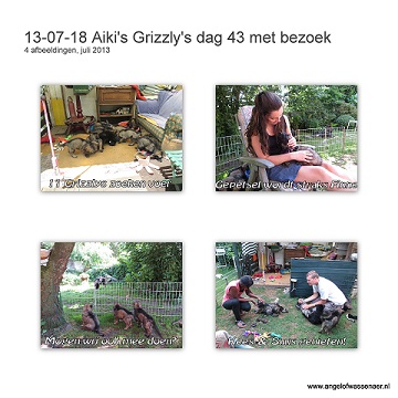 Grizzly's dag 43 met bezoek